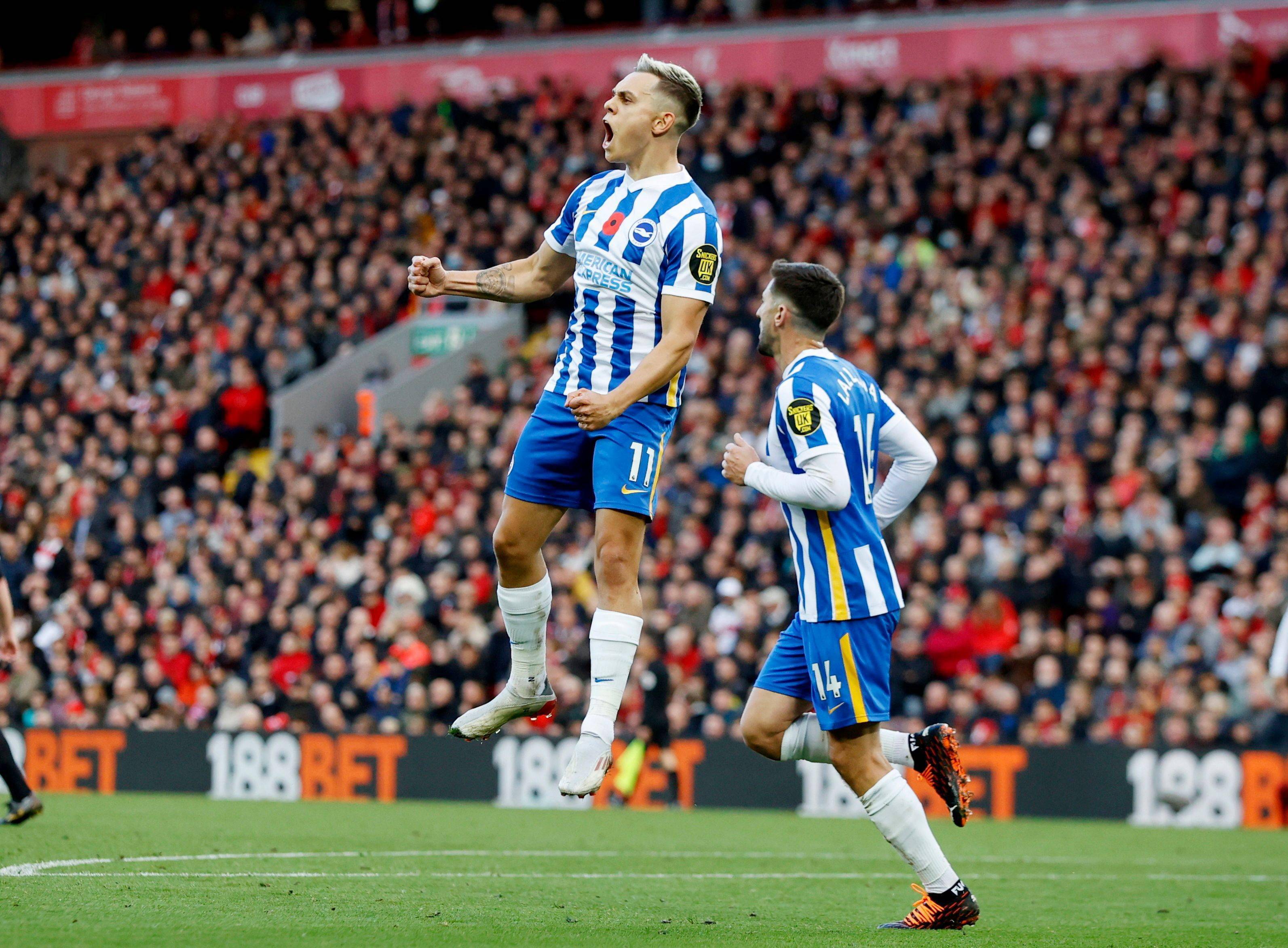 理素质的双 理素质的双